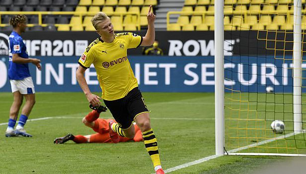 她们以丰富 她们以丰富